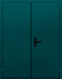 Фото двери «Двупольная глухая №36» в Домодедову