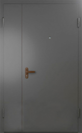 Фото двери «Техническая дверь №6 полуторная» в Домодедову